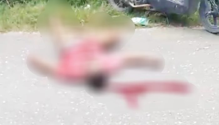 Seorang Warga Tertimpa Pohan Hingga Meninggal Dunia di Jalan Rundeng