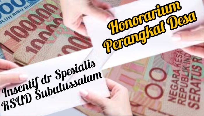 Dokter dan Perangkat Kampong di Subulussalam Tuntut Janji Pemko