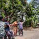 Foto : Masyarakat sedang menarik pohon kayu yang akan di tebang. Kamis 26-09-2024