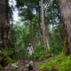 Pencari Burung Hilang di Hutan Babahrot
