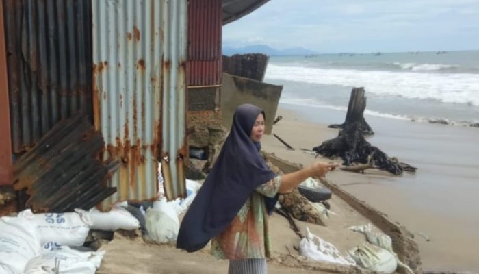 Abrasi Pantai Susoh Kembali Mengganas, Kerusakan Infrastruktur Kian Parah