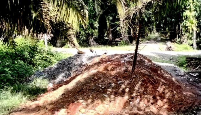 Jalan Diblokir Akibat Maraknya Pencurian TBS