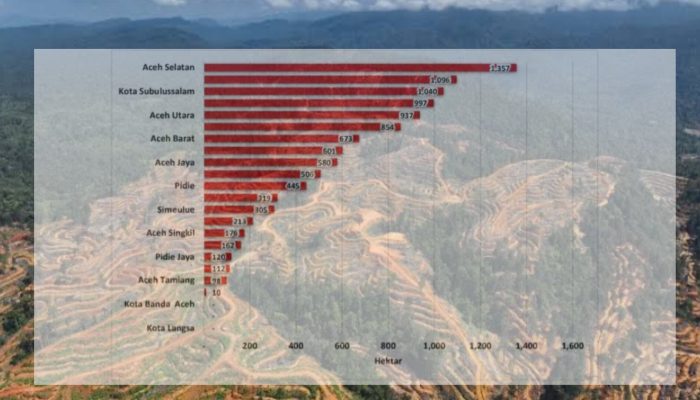 Berikut Data Pembanding Kondisi Hilangnya Tutupan Hutan di Aceh Tahun 2024