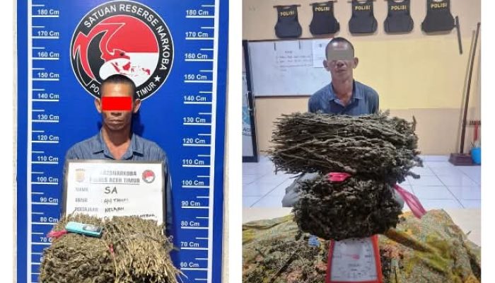 Edarkan Ganja, Pria di Aceh Timur Ditangkap Polisi