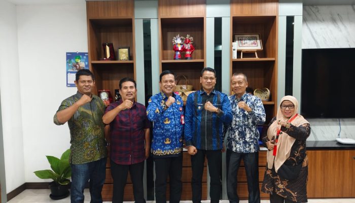 Wabup Aceh Timur Temui Putra Daerah di Kemensos, Bahas Isu Jaminan Sosial