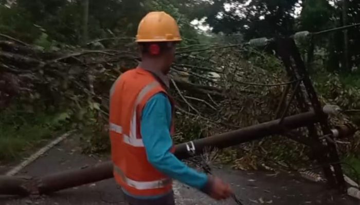BREAKING NEWS: Pohon Tumbang Timpa Tiang Listrik Hingga Patah di Lae Oram