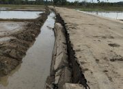 Talud Jalan Pertanian di Suak Nibong Ambruk Usai Diguncang Gempa 6,2 Skala Richter