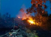 Hutan Gunung Kawasan Gampong Babah Lhok Abdya Terbakar