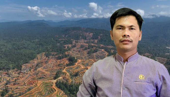 Ketua Komisi B DPR Subulussalam Minta Gubernur Aceh Cabut Izin PT SPT