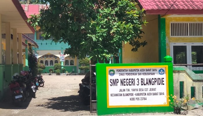 Smp
