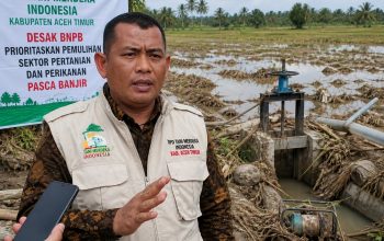 Tani Merdeka Aceh Timur Minta BNPB Fokus Pulihkan Ekonomi Petani dan Nelayan