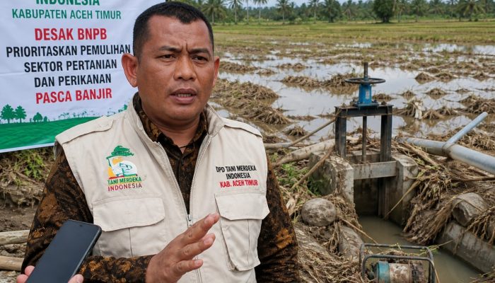 Tani Merdeka Aceh Timur Minta BNPB Fokus Pulihkan Ekonomi Petani dan Nelayan