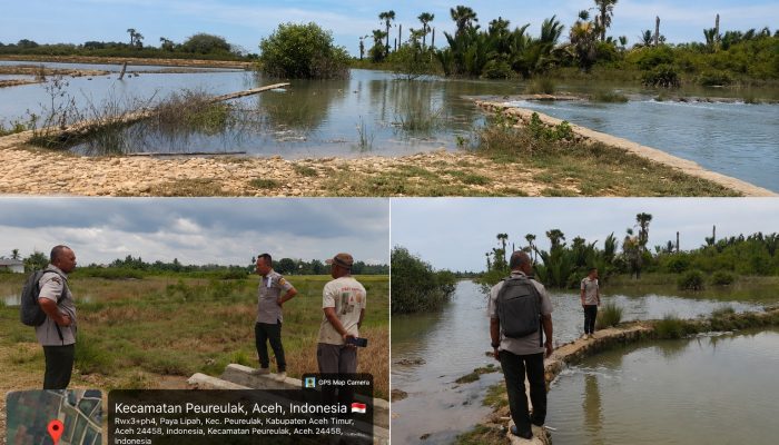 DPD Tani Merdeka Aceh Timur Dorong Pembangunan Talut Tinggi Lindungi Sawah